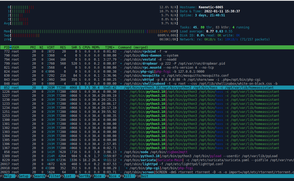 screen_2022-01-11_15:38:39_ha_htop.png