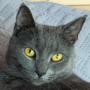 MuKu