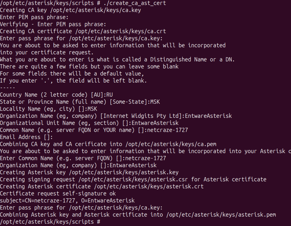create-ca-ast-cert-20260828.png